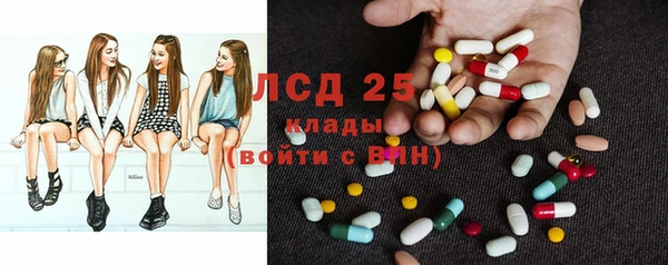 прущие крисы Корсаков
