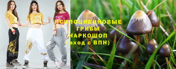 прущие крисы Корсаков