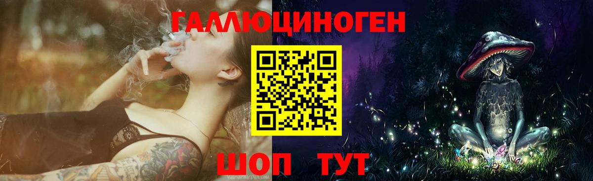 Галлюциногенные грибы Cubensis  Вход с VPN  Кирово-Чепецк 